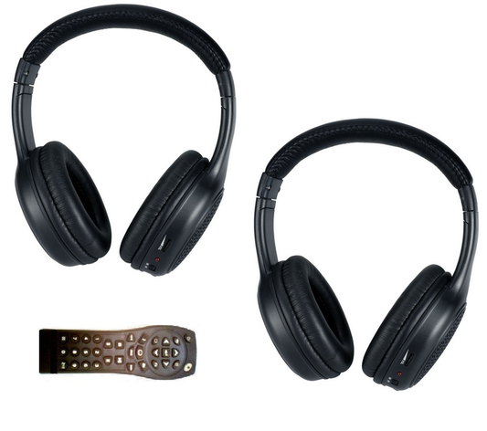 Buick Rainier Headphones and DVD Remote Combo (2003-2007)