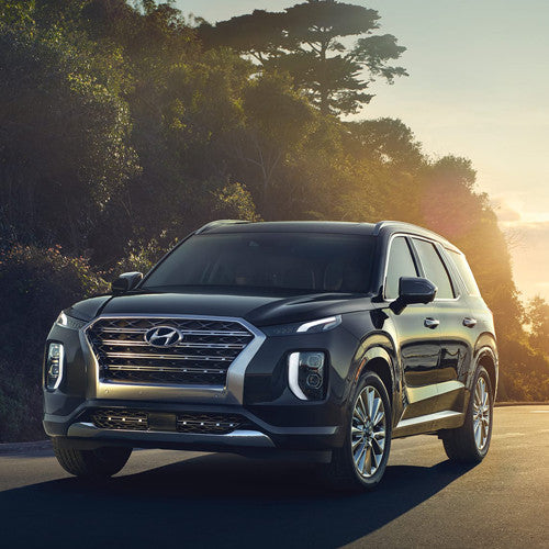 2020 Hyundai Palisade Electric Navigation USB Map Update